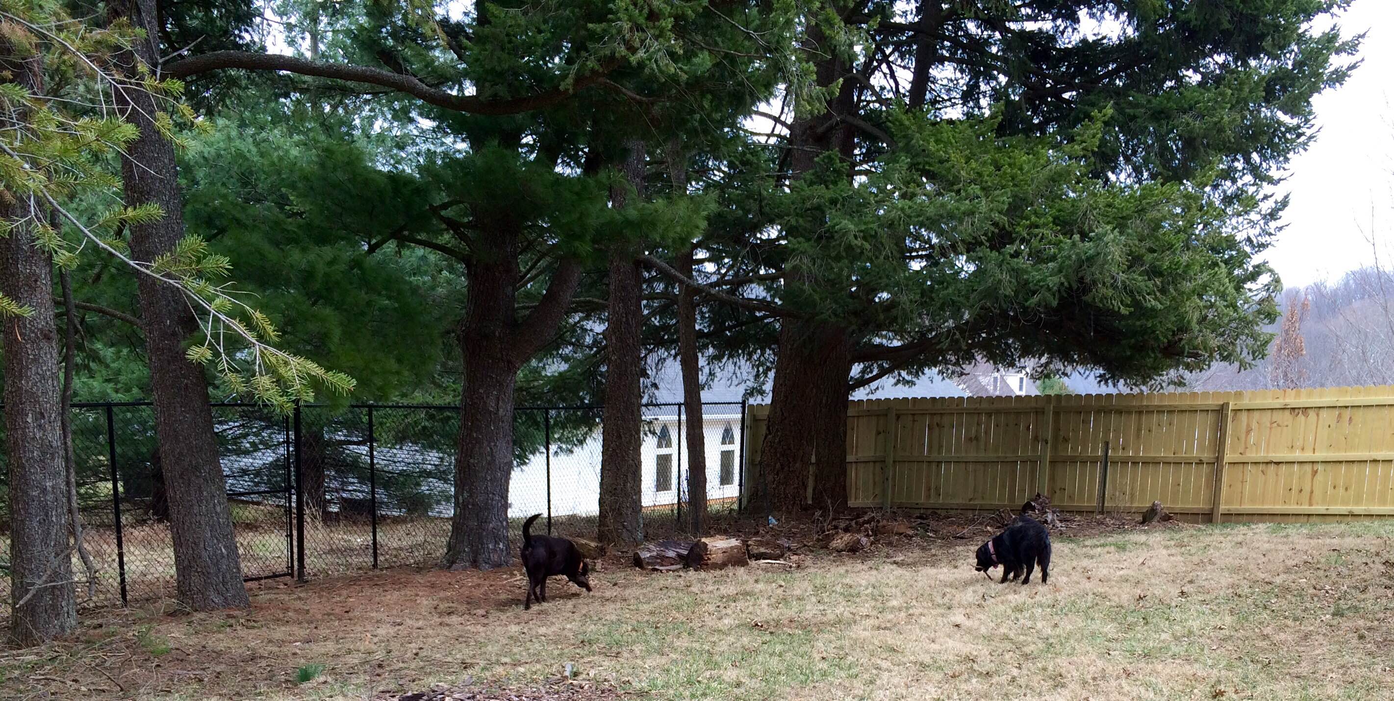 Part 6: No Place Like Home