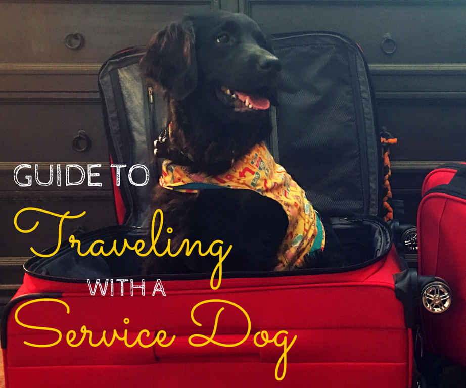 Guide to Traveling with a Service Dog